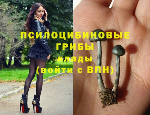 хмурый Волгодонск