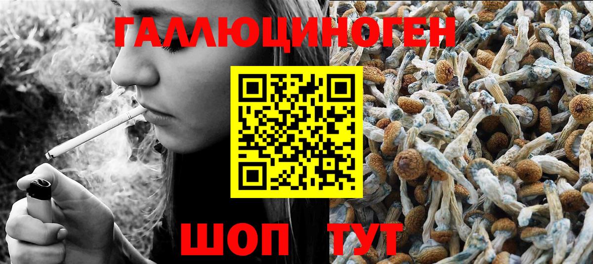 Псилоцибиновые грибы Psilocybine cubensis Надым