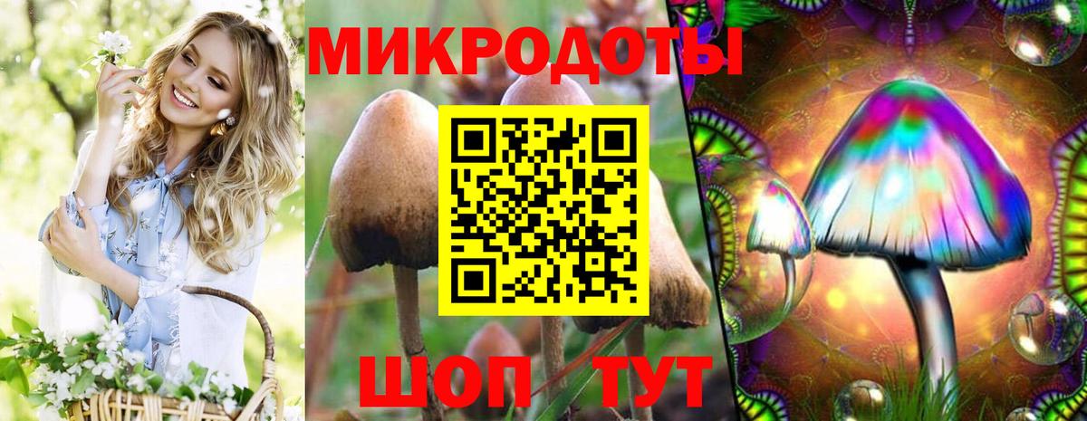 Псилоцибиновые грибы Magic Shrooms  Псилоцибиновые грибы мухоморы  Вход с VPN  Надым 